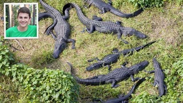 Сына Кличко покусал аллигатор в заповеднике США