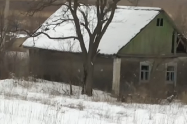 Грузинский легион отбил у террористов часть захваченного Донбасса