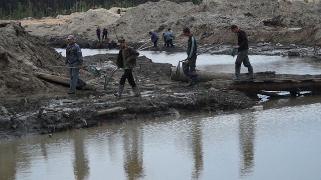 Убийство за янтарь на Ровенщине: новые подробности