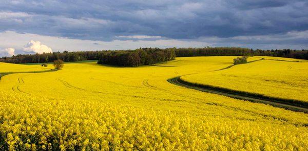 Украина глазами гостей. Какой видят нашу страну путешественники-иностранцы