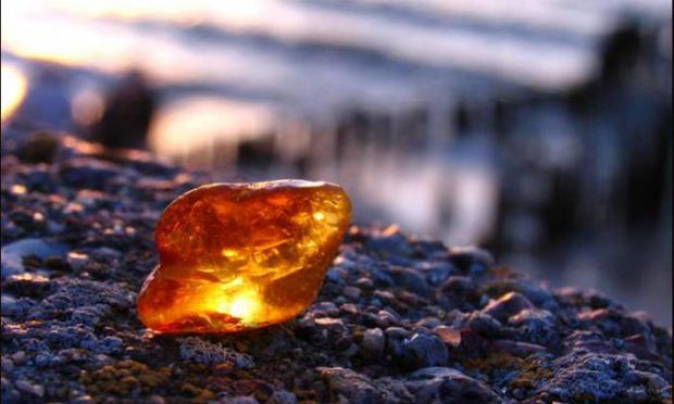 Бурштинові війни тривають: Місцевий житель розповів подробиці вчорашньої перестрілки під Сарнами