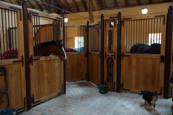 Суд отказал в аресте германской "конюшни" беглеца Онищенко