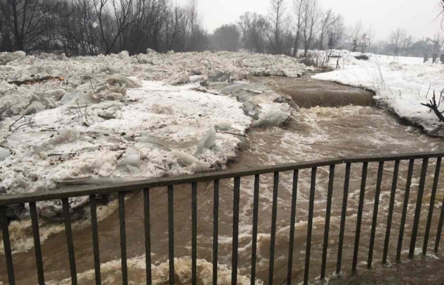 Закарпаття у воді: Затоплено 525 дворогосподарств, "плавають" будинки, евакуюють людей