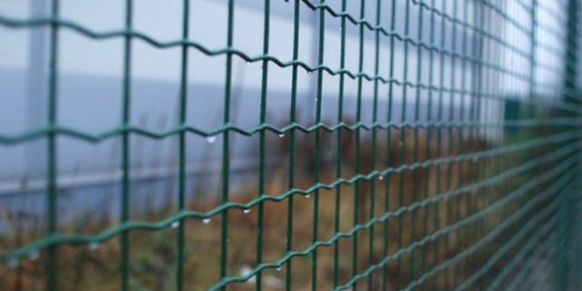 Латвия отгородилась от России 23-километровым забором