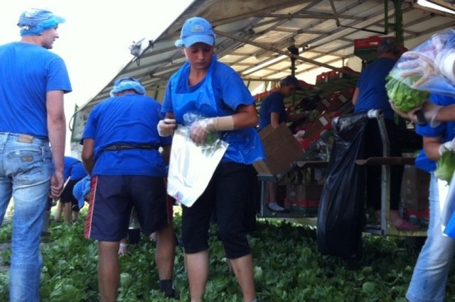 МИД: На работу за рубеж уже уехали пять миллионов украинцев