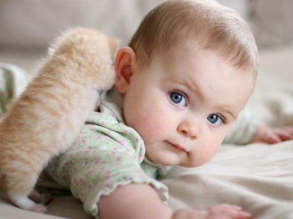 Размер помощи при рождении ребенка может возрасти уже в 2017 году