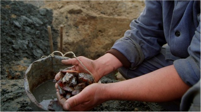 Кровавый янтарь. Подробности резонансных перестрелок на Полесье