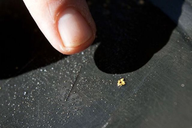 Хто видобуватиме золото на Закарпатті?