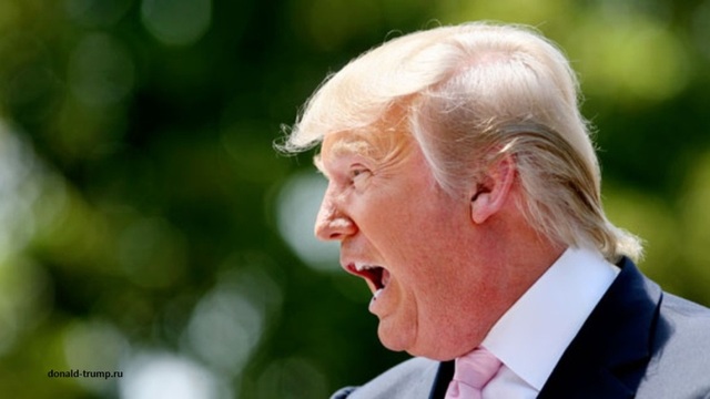       - The Financial Times