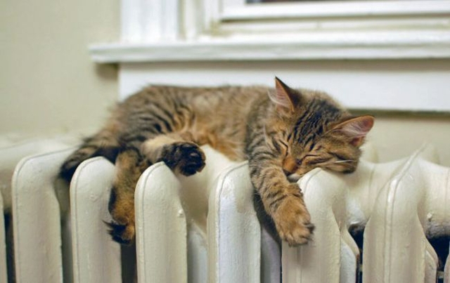 Киев переходит на экономный режим отопления: угля хватит на 50 дней