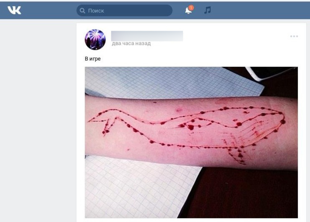 Киберполиция опубликовала список украинских детей, состоящих в "группах смерти"