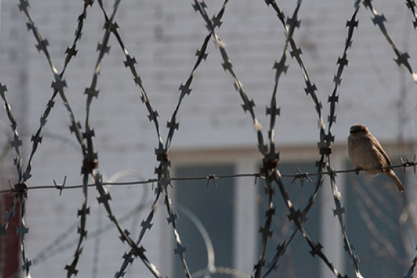 “Пропустил свежий выпуск “Голоса Украины” – welcome в тюрьму”