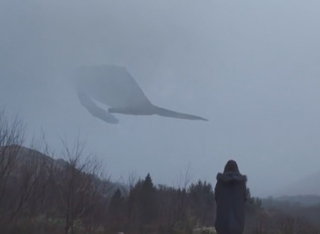 Доньку нардепа Сюмар штовхали до суїциду адміністратори "синіх китів"