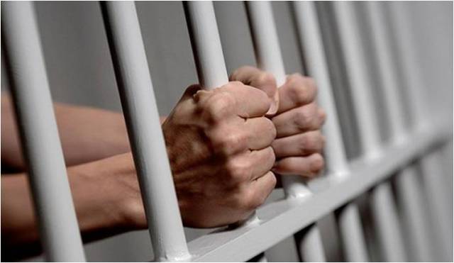 Юридические нюансы «закона Савченко»