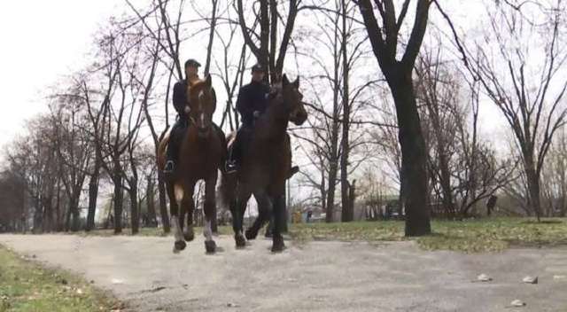 В Киеве появились патрульные на лошадях