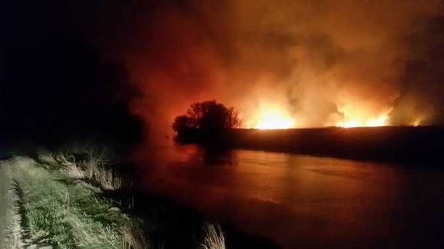 Стало известно кому принадлежит земля где полыхал пожар минувшей ночью