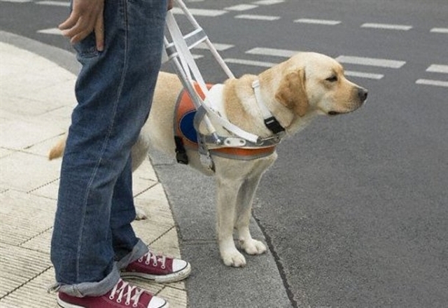 У Києві незрячу людину не пустили в метро з собакою-поводирем