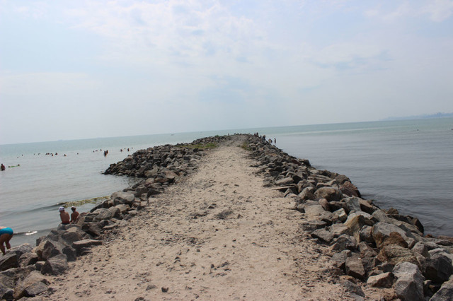 Война Крыжановского сельского совета с “Зелёным мысом” оказалась настоящим “разводом” жителей Крыжановки