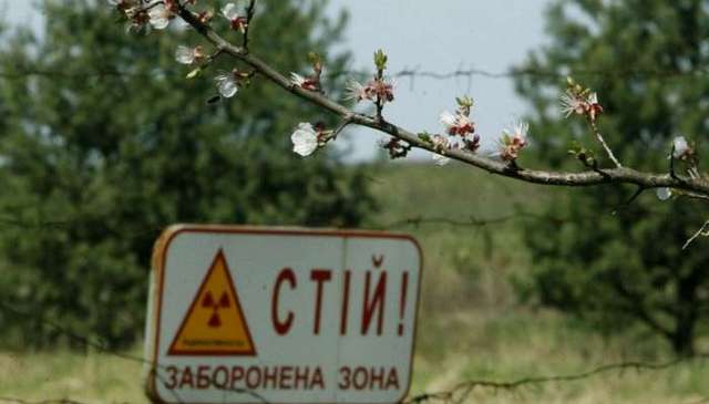 В Чернобыльской зоне задержали шестерых россиян
