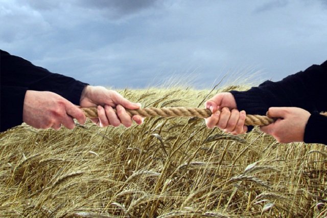 На Днепропетровщине радикалы Ляшко начали «земельные войны» с ветеранами АТО