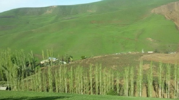 Похороненные заживо: село в Киргизии накрыл мощный оползень