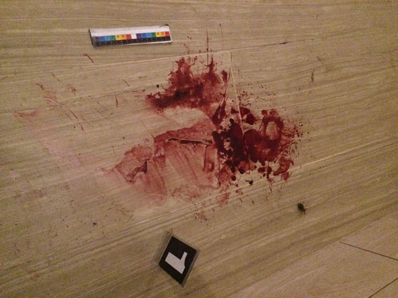 Катували у власному домі: на Рівненщині банда вкрала у подружжя майже $19 тисяч