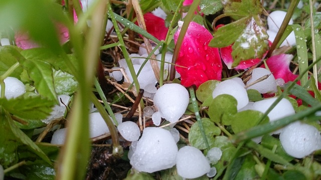 Львовщину засыпало градом