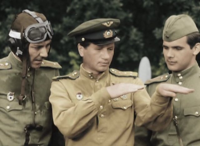  , ,     ,       蔅- 