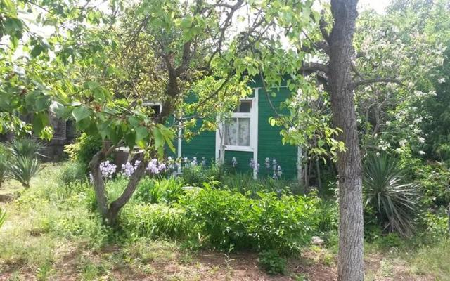 Оккупанты придумали, как "подстегнуть" севастопольцев к переселению