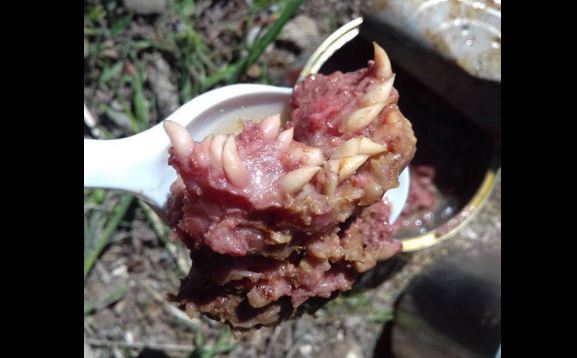 Скандал вокруг сухпайка с «зубами»: Проверка выявила ряд нарушений у производителей консервы