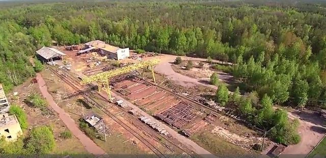 СМИ: Жена одного из начальников Нацполиции занимается нелегальным бизнесом в зоне отчуждения