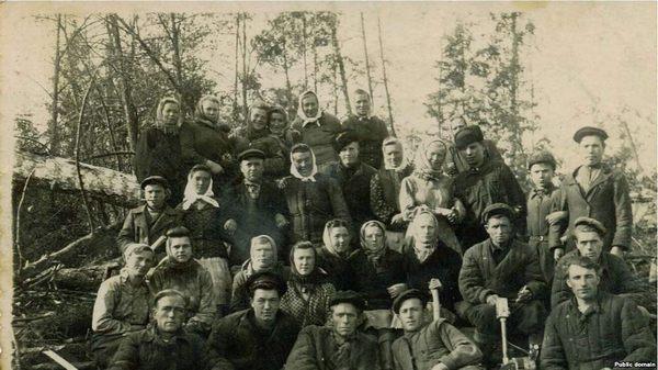 Нариман Гафаров: «Ели грибы и ягоды. Лето прошло быстро, наступила зима, начался голод»