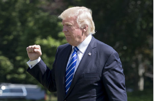 Кролик перед удавом: Почему Трамп выполняет все требования Путина