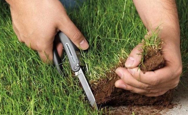 Главу района на Киевщине подозревают в «отжиме» земли