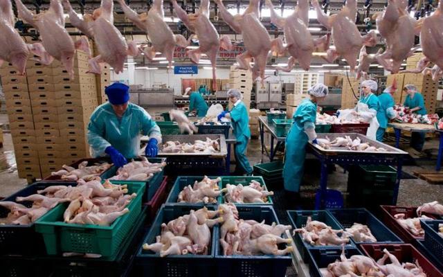 Голодные крымчане разграбили фуру с курами