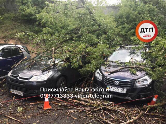 Разбитые машины и поваленные деревья: Ураган добрался и до Киева