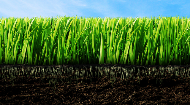 Скандал в Криму: у севастопольців примусово забирають землю