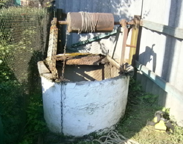В Житомирской области упала в колодец и погибла пожилая женщина