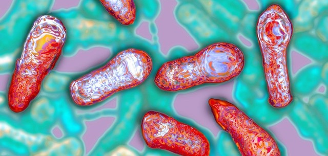 Отравление рыбой в Киеве: зафиксирован очередной случай ботулизма