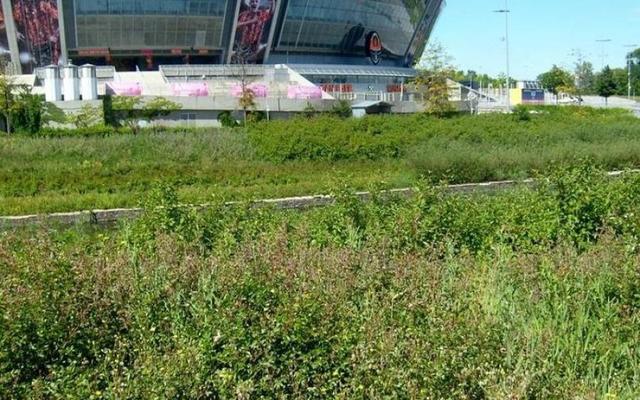 Витрина русского мира: вид Донбасс Арены возмутил украинцев