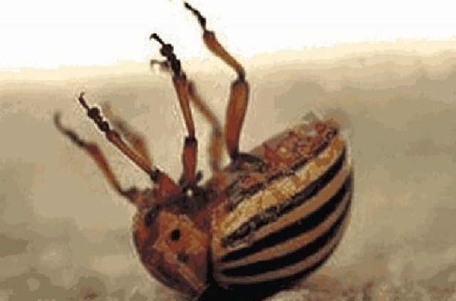 Блогер: Как я ватного таксиста наказал