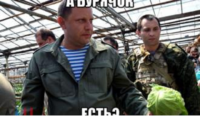 «Амбициозные планы» Захарченко: Будем продавать помидоры в Турцию