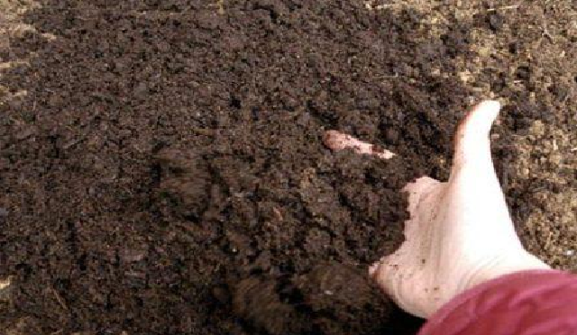 В Украине разворачивается новая афера с землей