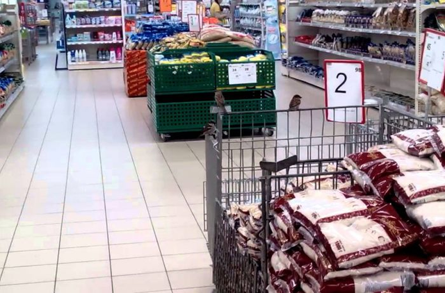 Украинцам рассказали, как отстоять свои права в магазине