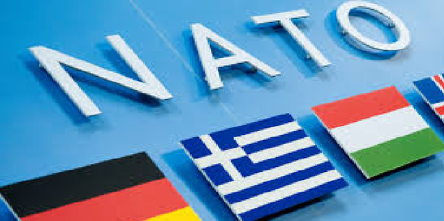 Савченко сделала громкое заявление по НАТО