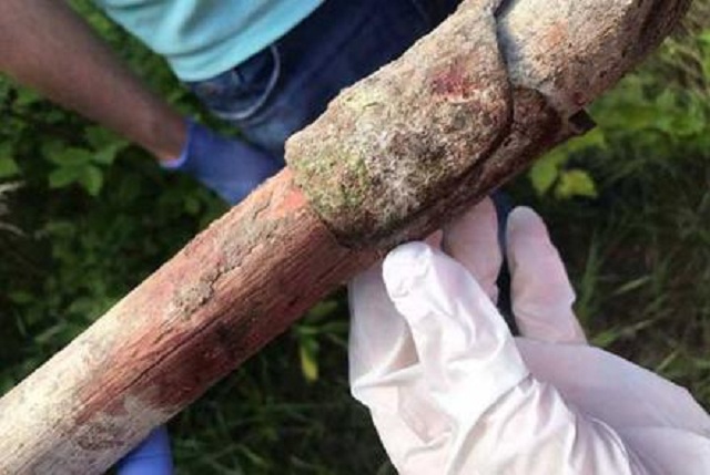 Садист забил до смерти одноклассницу лопатой и изнасиловал