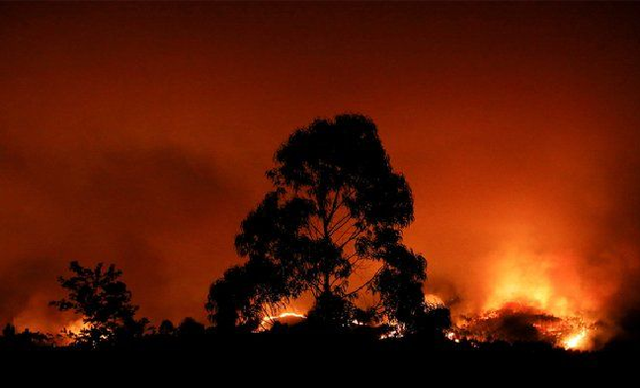В сети появились фото ночного пожара на киностудии им. Довженко
