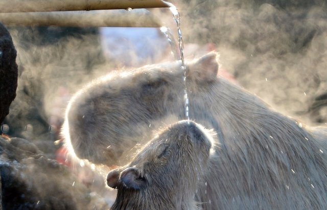 На Троєщину повертається гаряча вода