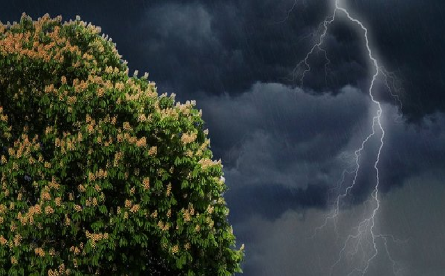 Синоптики обещают украинцам грозы со шквалами