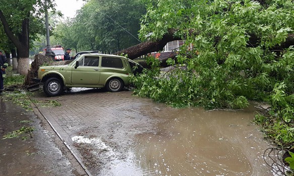 На юге Хмельницкой обл. прошел мощный ураган: десятки поваленных деревьев, повреждены крыши домов
